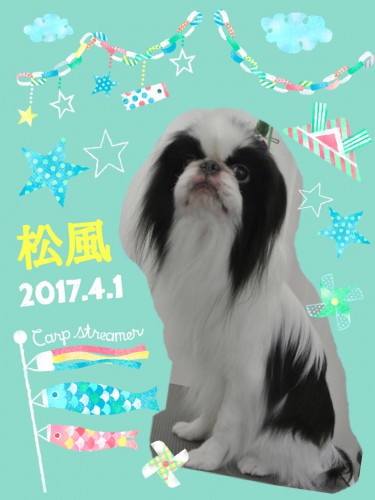 2017.4.1松風
