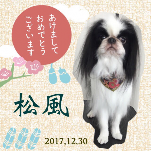 2017.12.30松風