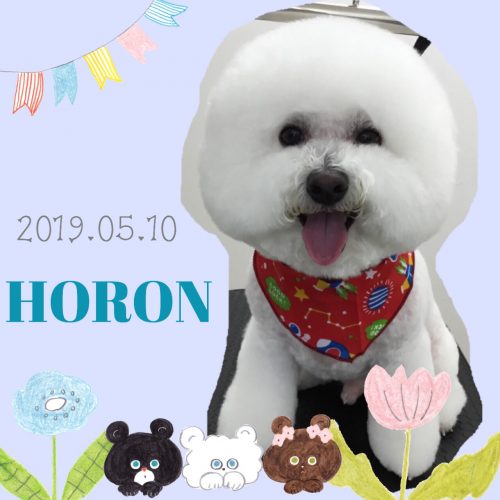 2019.05.10須山ホロン